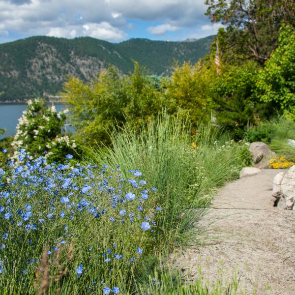 native landscaping