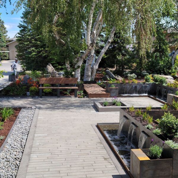 walk way and plants